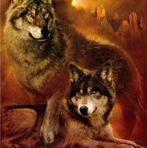 Meet your Posher, Kara